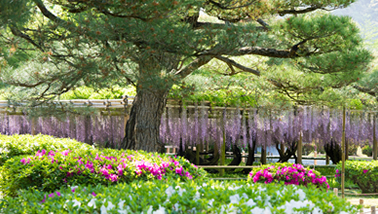 季節のお花マップ