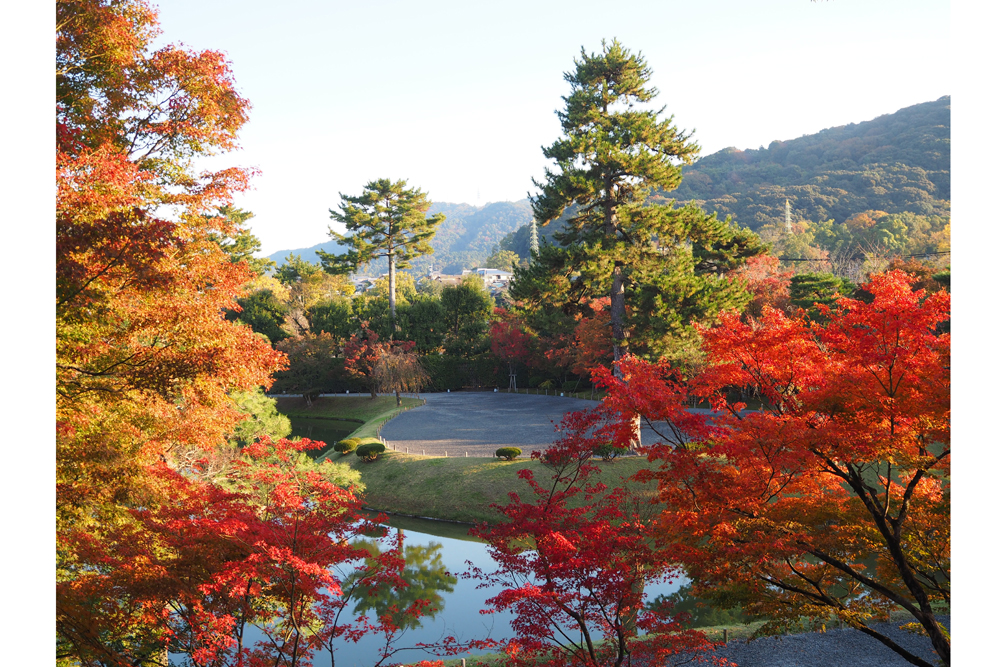 紅葉