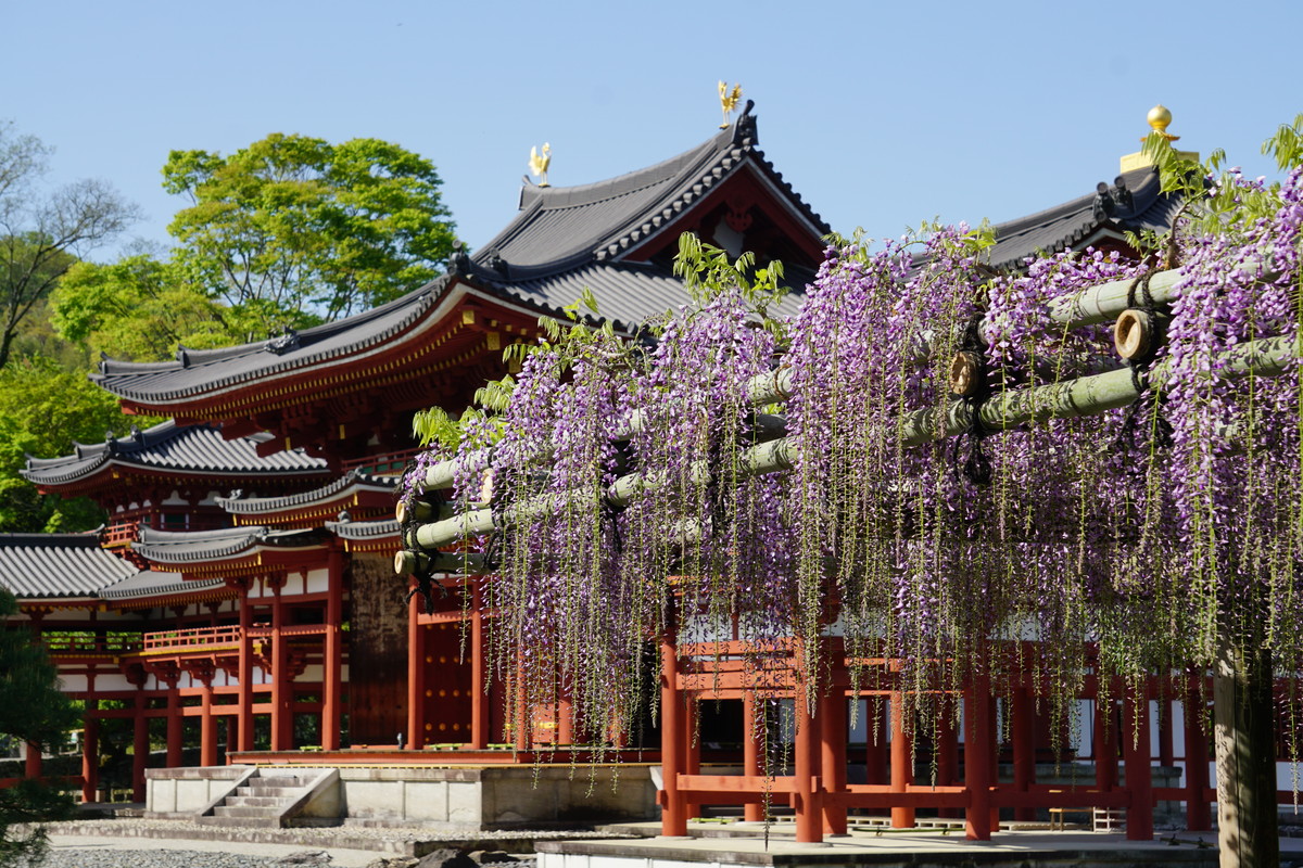 ☆DSC05781[1].jpg