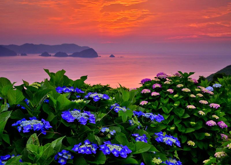 12_花の咲く縁が集まって花は咲く_遠藤公一_1.jpg